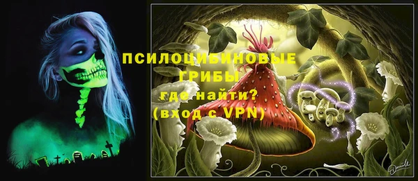 дживик Баксан